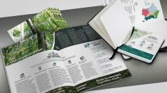 Ste_Forestiere_Plaquette